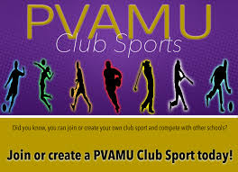 Image result for Spring View Community Sports Association