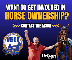 Image result for Meadows Sports Association