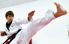 Image result for Norfolk Karate