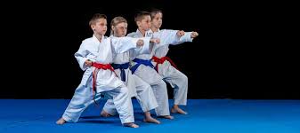 Image result for Absolute tae kwon do association