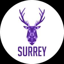 Image result for Surrey roller girls