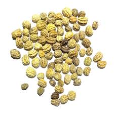 Attēlu rezultāti vaicājumam “Tropaeolum majus fruit”