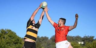 Image result for Tamworth Rugby Union Football Club