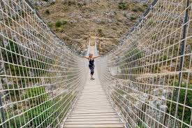 Image result for PONT DE SINGE