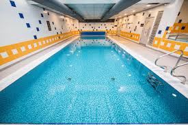 Image result for York University Pool Club