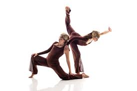 Image result for Elements Acro