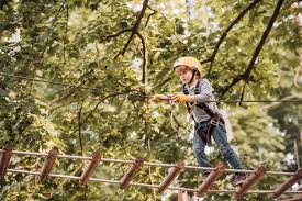 Image result for Go Ape! Grizedale