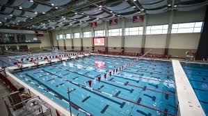 Image result for Brighouse Swimming Club