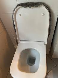 Image result for german toilet