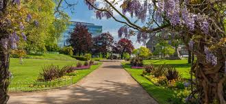Image result for University Of Reading Bowls Club