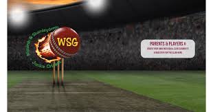 Image result for Wonersh Cricket Club