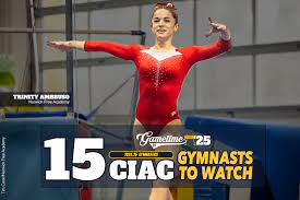 Image result for Norwich Gymnastics Club