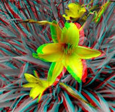 Image result for anaglyphen