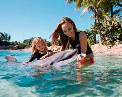 Image result for Discover Swimming