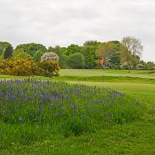 Image result for Tadmarton Heath Golf Club