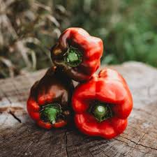 Afbeeldingsresultaat voor yolo wonder sweet pepper