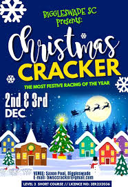 Image result for Biggleswade Sc