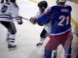 Image result for Streatham Night Wolves Ice Hockey Team