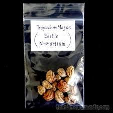 Attēlu rezultāti vaicājumam “Tropaeolum majus fruit”