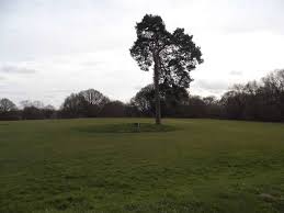 Image result for Redhill & Reigate Golf Club