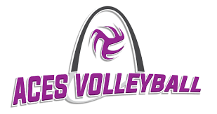 Image result for Reading Aces Volleyball Club