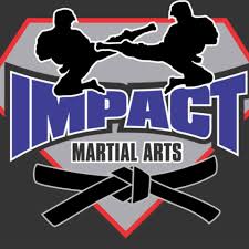 Image result for Impact Martial Arts