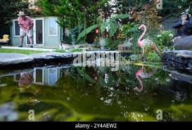 Image result for Leatherhead Swans Club