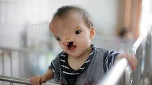 Image result for агент оранж