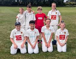 Image result for Glastonbury Cricket Club