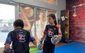 Image result for Apollo Martial Arts Academy