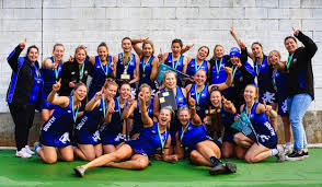 Image result for Southfields Netball Club