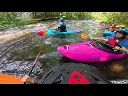 Image result for Paddletastic