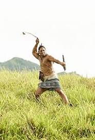 Image result for Lansongammon