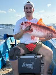 Image result for Lutjanus campechanus