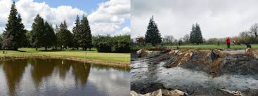 Image result for Laleham Golf Club