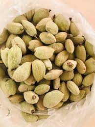Image result for fresh green almonds