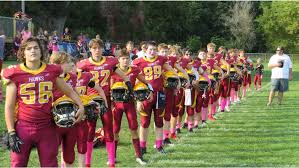 Image result for Hedingham Hawks Youth Football Club