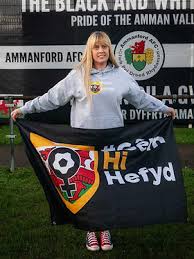 Image result for Ammanford Cricket Club