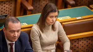 Image result for dúró dóra