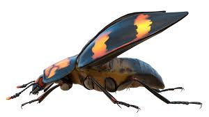 Attēlu rezultāti vaicājumam “Nicrophorus vespilloides”