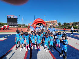 Image result for Hedingham Hawks Youth Football Club