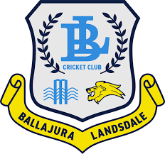 Image result for Glaisdale Cricket Club