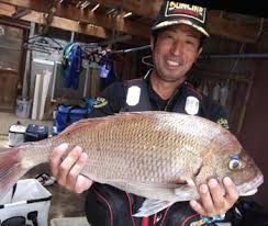 「 ｿｽ ｽｿ ｽｽA ｿｽ ｽｿ ｽｽ[ ｿｽ ｽｿ ｽｽ ｿｽ ｽｿ ｽｽ ｿｽ ｽｿ ｽｽ ｿｽ ｽｿ ｽｽ ｿｽ ｽｿ ｽｽ` ｿｽ ｽｿ ｽｽF ｿｽ ｽｿ ｽｽA」の画像検索結果