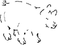 our seven-part <b>Perceptual</b>