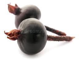 Attēlu rezultāti vaicājumam “Rosa majalis fruit”