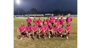 Image result for Kelvedon & Feering Cricket Club