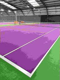 Image result for David Lloyd (Manchester) Badminton Club