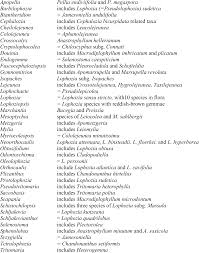 Attēlu rezultāti vaicājumam “Barbilophozia kunzeana”