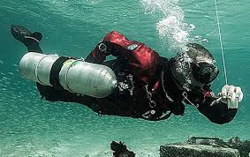 Image result for 3D Diving Club