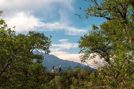 Výsledek obrázku pro yungas